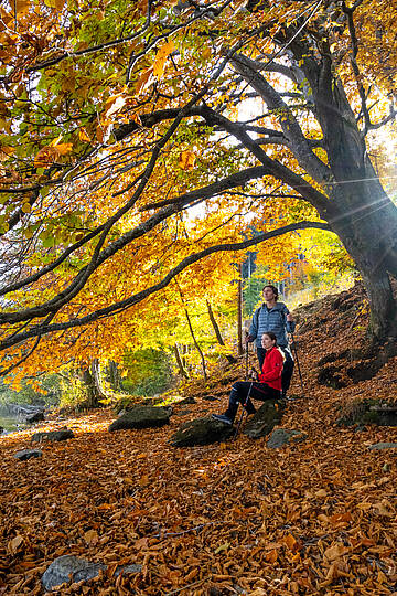 Pärchen sitzt im Herbst am Ufer des Millstätter Sees 