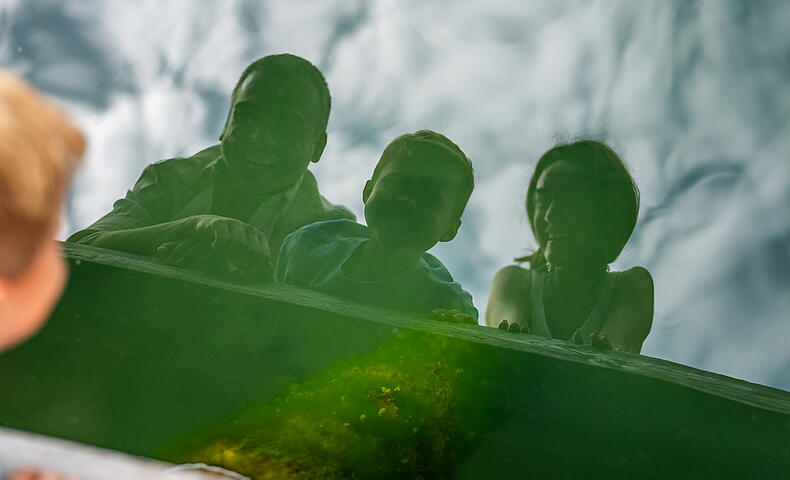 Seespiegelung der Familie im Brennsee 